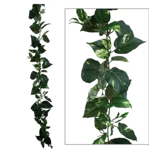 ΓΙΡΛΑΝΤΑ ΠΟΘΟΣ ΔΙΧΡΩΜΟΣ (122 ΦΥΛΛΑ) Y180cm. 12/72ΚΙΒΓΙΡΛΑΝΤΑ ΠΟΘΟΣ ΔΙΧΡΩΜΟΣ (122 ΦΥΛΛΑ) Y180cm. 12/72ΚΙΒ