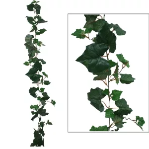 ΓIΡΛΑΝΤΑ ΑΜΠΕΛΙ ΠΡΑΣΙΝΟ (122 ΦΥΛΛΑ) Y180cm. 12/72ΚΙΒΓIΡΛΑΝΤΑ ΑΜΠΕΛΙ ΠΡΑΣΙΝΟ (122 ΦΥΛΛΑ) Y180cm. 12/72ΚΙΒ