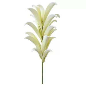 FOAM ΦΥΛΛΟ ΕΚΡΟΥ Υ116cm. 8/64ΚΙΒFOAM ΦΥΛΛΟ ΕΚΡΟΥ Υ116cm. 8/64ΚΙΒ