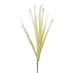 FOAM ΕΚΡΟΥ ΦΥΛΛΩΜΑ Υ113cm. 12/120ΚΙΒFOAM ΕΚΡΟΥ ΦΥΛΛΩΜΑ Υ113cm. 12/120ΚΙΒ