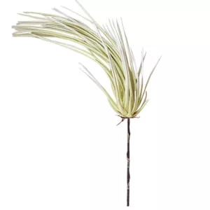 FOAM ΕΚΡΟΥ Υ73cm. 14/42ΚΙΒFOAM ΕΚΡΟΥ Υ73cm. 14/42ΚΙΒ