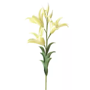 FOAM ΕΚΡΟΥ ΛΙΛΙΟΥΜ Y97cm. 12/120ΚΙΒFOAM ΕΚΡΟΥ ΛΙΛΙΟΥΜ Y97cm. 12/120ΚΙΒ