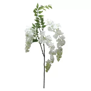 ΚΛΑΔΙ ΑΚΑΚΙΑ ΣΑΜΠΑΝΙ X3 Y75-98cm. 12/144KIBΚΛΑΔΙ ΑΚΑΚΙΑ ΣΑΜΠΑΝΙ X3 Y75-98cm. 12/144KIB