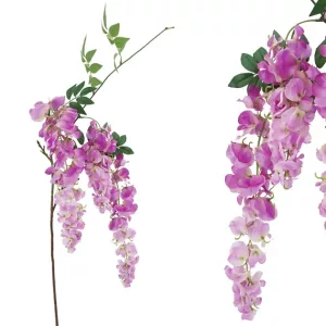 ΚΛΑΔΙ ΑΚΑΚΙΑ ΜΩΒ X3 Υ75cm 12/144ΚΙΒΚΛΑΔΙ ΑΚΑΚΙΑ ΜΩΒ X3 Υ75cm 12/144ΚΙΒ