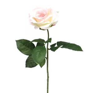 ΚΛΑΔΙ ΤΡΙΑΝΤΑΦΥΛΛΟ ΡΟΖ ΜΟΝΟ Υ65cm. 24/288ΚΙΒΚΛΑΔΙ ΤΡΙΑΝΤΑΦΥΛΛΟ ΡΟΖ ΜΟΝΟ Υ65cm. 24/288ΚΙΒ