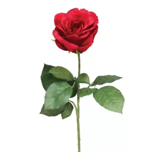 ΚΛΑΔΙ ΤΡΙΑΝΤΑΦΥΛΛΟ ΚΟΚΚΙΝΟ ΜΟΝΟ Υ65cm. 24/288ΚΙΒΚΛΑΔΙ ΤΡΙΑΝΤΑΦΥΛΛΟ ΚΟΚΚΙΝΟ ΜΟΝΟ Υ65cm. 24/288ΚΙΒ
