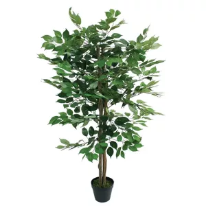 ΔΕΝΤΡΟ ΠΡΑΣΙΝΟ ΜΠΕΝΖΑΜΙΝ ΣΕ ΓΛΑΣΤΡΑ - Y120cm 4/ΚΙΒΔΕΝΤΡΟ ΠΡΑΣΙΝΟ ΜΠΕΝΖΑΜΙΝ ΣΕ ΓΛΑΣΤΡΑ - Y120cm 4/ΚΙΒ