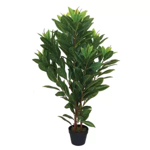 ΔΕΝΤΡΟ ΜΑΝΩΛΙΑ REAL TOUCH ΣΕ ΓΛΑΣΤΡΑ - Y110cm 1/4KIBΔΕΝΤΡΟ ΜΑΝΩΛΙΑ REAL TOUCH ΣΕ ΓΛΑΣΤΡΑ - Y110cm 1/4KIB