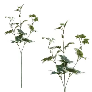 ΚΛΑΔΙ ΚΙΣΣΟΣ ΔΙΧΡΩΜΟΣ Y56cm. 12/144KIBΚΛΑΔΙ ΚΙΣΣΟΣ ΔΙΧΡΩΜΟΣ Y56cm. 12/144KIB