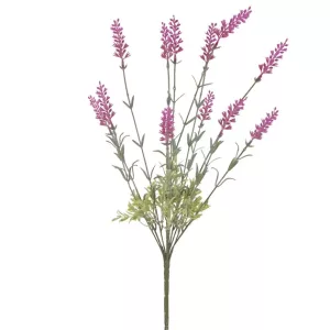 ΛΕΒΑΝΤΑ ΜΠΟΥΚΕΤΟ  ΦΟΥΞ ΑΝΟΙΧΤΟ X10 Υ45cm. 24/144ΚΙΒΛΕΒΑΝΤΑ ΜΠΟΥΚΕΤΟ  ΦΟΥΞ ΑΝΟΙΧΤΟ X10 Υ45cm. 24/144ΚΙΒ