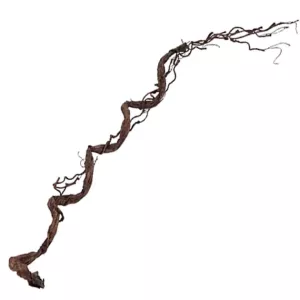 ΚΛΑΡΑ  ΚΑΦΕ ΤΙΚ Υ110cm. 48ΚΙΒΚΛΑΡΑ  ΚΑΦΕ ΤΙΚ Υ110cm. 48ΚΙΒ