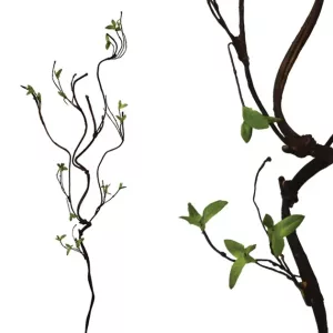 ΚΛΑΔΙ ΚΑΦΕ ΜΕ ΠΡΑΣΙΝΑ ΦΥΛΛΑΡΑΚΙΑ Υ130cm. 24/120ΚΙΒΚΛΑΔΙ ΚΑΦΕ ΜΕ ΠΡΑΣΙΝΑ ΦΥΛΛΑΡΑΚΙΑ Υ130cm. 24/120ΚΙΒ