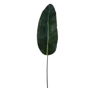 ΠΑΛΜΑ ΦΥΛΛΟ ΚΛΑΔΙ Y80cm. 72/504KIBΠΑΛΜΑ ΦΥΛΛΟ ΚΛΑΔΙ Y80cm. 72/504KIB