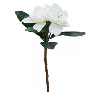 ΚΛΑΔΙ ΕΚΡΟΥ ΑΝΘΟΣ  Χ2 Y50cm. 12/120KIBΚΛΑΔΙ ΕΚΡΟΥ ΑΝΘΟΣ  Χ2 Y50cm. 12/120KIB