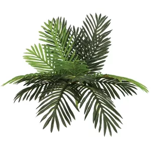 ΡΙΖΑ ΦΥΛΛΟ ΤΣΙΚΑΣ Y55cm 12/72KIBΡΙΖΑ ΦΥΛΛΟ ΤΣΙΚΑΣ Y55cm 12/72KIB