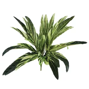 ΡΙΖΑ ΦΥΛΛΟ ΔΡΑΚΑΙΝΑΣ Y58cm 24/144KIBΡΙΖΑ ΦΥΛΛΟ ΔΡΑΚΑΙΝΑΣ Y58cm 24/144KIB