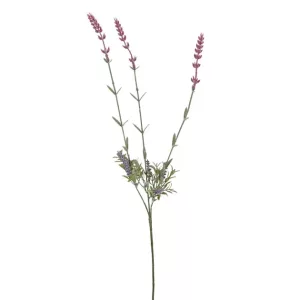 ΚΛΑΔΙ ΛΕΒΑΝΤΑ Χ3 Y70cm 48/288KIBΚΛΑΔΙ ΛΕΒΑΝΤΑ Χ3 Y70cm 48/288KIB