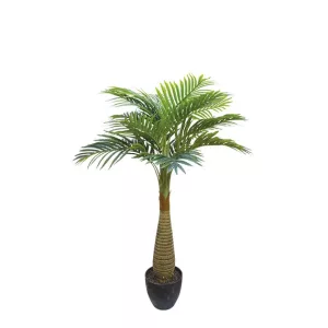 ΔΕΝΤΡΟ ΦΟΙΝΙΚΑΣ ΑΡΕΚΑ REAL TOUCH ΣΕ ΓΛΑΣΤΡΑ - Υ120cm 4/ΚΙΒΔΕΝΤΡΟ ΦΟΙΝΙΚΑΣ ΑΡΕΚΑ REAL TOUCH ΣΕ ΓΛΑΣΤΡΑ - Υ120cm 4/ΚΙΒ