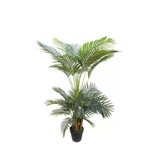 ΔΕΝΤΡΟ ΚΕΝΤΙΑ REAL TOUCH ΣΕ ΓΛΑΣΤΡΑ - Υ150cm 4/ΚΙΒΔΕΝΤΡΟ ΚΕΝΤΙΑ REAL TOUCH ΣΕ ΓΛΑΣΤΡΑ - Υ150cm 4/ΚΙΒ