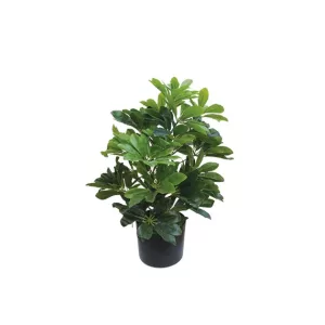 ΔΕΝΤΡΟ ΣΕΦΛΙΕΡΑ REAL TOUCH ΣΕ ΓΛΑΣΤΡΑ - Y61cm 2/ΚΙΒΔΕΝΤΡΟ ΣΕΦΛΙΕΡΑ REAL TOUCH ΣΕ ΓΛΑΣΤΡΑ - Y61cm 2/ΚΙΒ