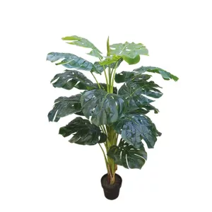 ΔΕΝΤΡΟ ΣΧΙΣΤΟΦΥΛΛΟ REAL TOUCH ΣΕ ΓΛΑΣΤΡΑ - Υ140cm 4/ΚΙΒΔΕΝΤΡΟ ΣΧΙΣΤΟΦΥΛΛΟ REAL TOUCH ΣΕ ΓΛΑΣΤΡΑ - Υ140cm 4/ΚΙΒ