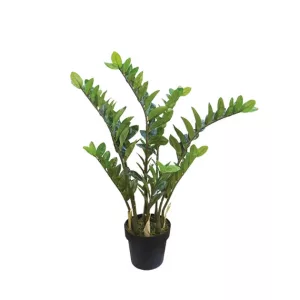 ΔΕΝΤΡΟ ΖΑΜΙA REAL TOUCH ΣΕ ΓΛΑΣΤΡΑ - Y95cm 4/ΚΙΒΔΕΝΤΡΟ ΖΑΜΙA REAL TOUCH ΣΕ ΓΛΑΣΤΡΑ - Y95cm 4/ΚΙΒ