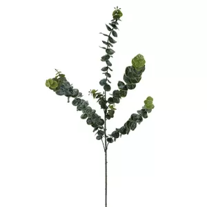 ΚΛΑΔΙ ΕΥΚΑΛΥΠΤΟΣ ΠΡΑΣΙΝΟ Y88cm 36/108ΚΙΒΚΛΑΔΙ ΕΥΚΑΛΥΠΤΟΣ ΠΡΑΣΙΝΟ Y88cm 36/108ΚΙΒ