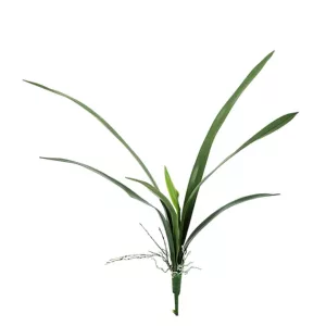 ΦΥΛΛΟ ΟΡΧΙΔΕΑΣ FABERI Y62cm 90/180ΚΙΒΦΥΛΛΟ ΟΡΧΙΔΕΑΣ FABERI Y62cm 90/180ΚΙΒ