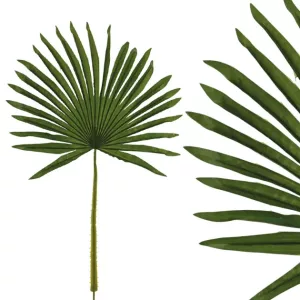 ΚΛΑΔΙ ΦΥΛΛΟ ΜΟΥΝΤΖΑ ΠΡΑΣΙΝΟ Υ69cm 144/ΚΙΒΚΛΑΔΙ ΦΥΛΛΟ ΜΟΥΝΤΖΑ ΠΡΑΣΙΝΟ Υ69cm 144/ΚΙΒ