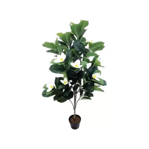 ΔΕΝΤΡΟ MANΩΛΙΑ ΕΚΡΟΥ ΑΝΘΗ ΣΕ ΓΛΑΣΤΡΑ - Y140cm 1/2KIBΔΕΝΤΡΟ MANΩΛΙΑ ΕΚΡΟΥ ΑΝΘΗ ΣΕ ΓΛΑΣΤΡΑ - Y140cm 1/2KIB