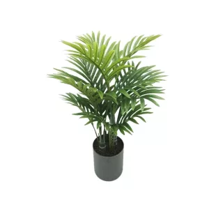 ΔΕΝΤΡΟ ΚΕΝΤΙΑ ΣΕ ΚΑΣΠΩ - Y55cm 1/12KIBΔΕΝΤΡΟ ΚΕΝΤΙΑ ΣΕ ΚΑΣΠΩ - Y55cm 1/12KIB