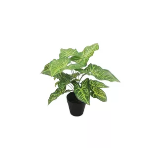 ΦΥΤΟ ΚΑΛΑΔΙΟ REAL TOUCH ΣΕ ΓΛΑΣΤΡΑ - Y30cm 6/36KIBΦΥΤΟ ΚΑΛΑΔΙΟ REAL TOUCH ΣΕ ΓΛΑΣΤΡΑ - Y30cm 6/36KIB