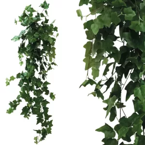 ΡΙΖΑ ΚΡΕΜΑΣΤΗ ΚΙΣΣΟΣ ΠΡΑΣΙΝΟΣ Y130cm 1/50KIBΡΙΖΑ ΚΡΕΜΑΣΤΗ ΚΙΣΣΟΣ ΠΡΑΣΙΝΟΣ Y130cm 1/50KIB