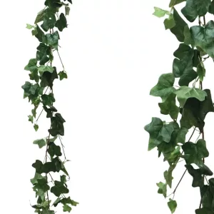 ΓΙΡΛΑΝΤΑ ΚΙΣΣΟΣ ΠΡΑΣΙΝΟΣ Y170cm 1/100KIBΓΙΡΛΑΝΤΑ ΚΙΣΣΟΣ ΠΡΑΣΙΝΟΣ Y170cm 1/100KIB