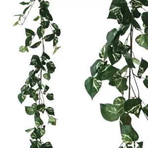ΓΙΡΛΑΝΤΑ ΠΟΘΟΣ ΔΙΧΡΩΜΟΣ Υ170cm 1/100ΚΙΒΓΙΡΛΑΝΤΑ ΠΟΘΟΣ ΔΙΧΡΩΜΟΣ Υ170cm 1/100ΚΙΒ