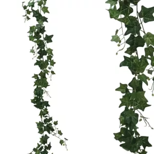 ΓΙΡΛΑΝΤΑ ΚΙΣΣΟΣ ΠΡΑΣΙΝΟΣ Υ185cm 36/216ΚΙΒΓΙΡΛΑΝΤΑ ΚΙΣΣΟΣ ΠΡΑΣΙΝΟΣ Υ185cm 36/216ΚΙΒ