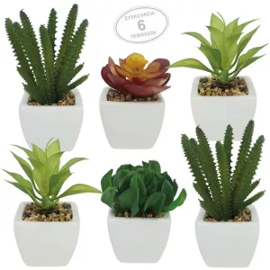 ΚΑΚΤΑΚΙΑ SET/6 ΣΕ ΓΛΑΣΤΡΑΚΙ ΛΕΥΚΟ ΚΕΡΑΜΙΚΟ 6x6x15cm 6/KIBΚΑΚΤΑΚΙΑ SET/6 ΣΕ ΓΛΑΣΤΡΑΚΙ ΛΕΥΚΟ ΚΕΡΑΜΙΚΟ 6x6x15cm 6/KIB