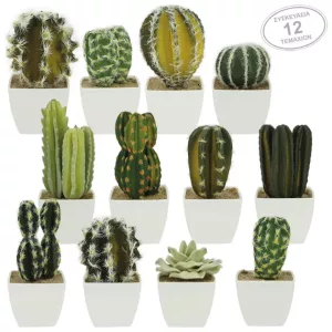 ΚΑΚΤΑΚΙΑ ΣΕΤx12 ΣΕ ΓΛΑΣΤΡΑΚΙ 4x13cm 1/16KIBΚΑΚΤΑΚΙΑ ΣΕΤx12 ΣΕ ΓΛΑΣΤΡΑΚΙ 4x13cm 1/16KIB