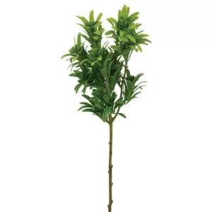 ΚΛΑΔΙ ΠΡΑΣΙΝΟ ΦΥΛΛΑΡΑΚΙ Y56cm 60/240KIBΚΛΑΔΙ ΠΡΑΣΙΝΟ ΦΥΛΛΑΡΑΚΙ Y56cm 60/240KIB