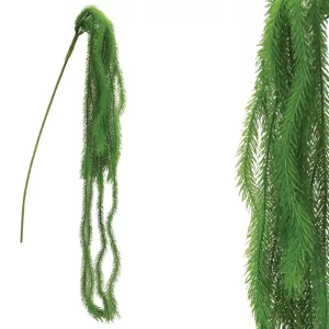 ΡΙΖΑ ΚΡΕΜΑΣΤΗ ΠΡΑΣΙΝΟ ΑΡΩΚΑΡΙΑ Υ94-152cm 36/108ΚΙΒΡΙΖΑ ΚΡΕΜΑΣΤΗ ΠΡΑΣΙΝΟ ΑΡΩΚΑΡΙΑ Υ94-152cm 36/108ΚΙΒ