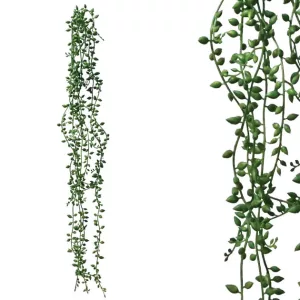 ΡΙΖΑ ΚΡΕΜΑΣΤΗ ΚΑΡΠΟΣ ΠΑΧΥΦΥΤΟ ΠΡΑΣΙΝΟ 15x57/87cm 60/240ΚΙΒΡΙΖΑ ΚΡΕΜΑΣΤΗ ΚΑΡΠΟΣ ΠΑΧΥΦΥΤΟ ΠΡΑΣΙΝΟ 15x57/87cm 60/240ΚΙΒ