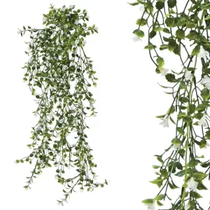 ΡΙΖΑ ΚΡΕΜΑΣΤΗ ΑΝΘΑΚΙ ΜΙΚΡΟ ΛΕΥΚΟ 30x70/80cm 36/108ΚΙΒΡΙΖΑ ΚΡΕΜΑΣΤΗ ΑΝΘΑΚΙ ΜΙΚΡΟ ΛΕΥΚΟ 30x70/80cm 36/108ΚΙΒ