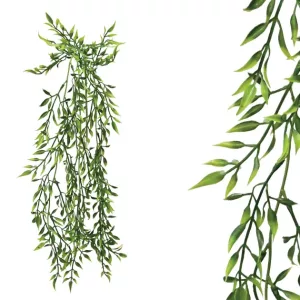 ΡΙΖΑ ΚΡΕΜΑΣΤΗ ME 2ΧΡΩΜΟ ΜΥΤΕΡΟ ΦΥΛΛΟ Y60-85cm 72/288ΚΙΒΡΙΖΑ ΚΡΕΜΑΣΤΗ ME 2ΧΡΩΜΟ ΜΥΤΕΡΟ ΦΥΛΛΟ Y60-85cm 72/288ΚΙΒ