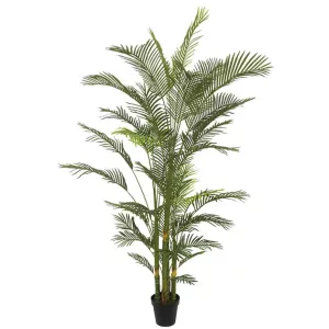 ΔΕΝΤΡΟ ΚΕΝΤΙΑ ΚΟΡΜΟ REAL TOUCH ΣΕ ΓΛΑΣΤΡΑ Y240cm 2/ΚΙΒΔΕΝΤΡΟ ΚΕΝΤΙΑ ΚΟΡΜΟ REAL TOUCH ΣΕ ΓΛΑΣΤΡΑ Y240cm 2/ΚΙΒ