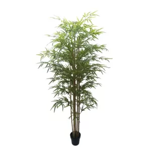 ΔΕΝΤΡΟ ΜΠΑΜΠΟΥ REAL TOUCH ΣΕ ΓΛΑΣΤΡΑ Y180cm 2/ΚΙΒΔΕΝΤΡΟ ΜΠΑΜΠΟΥ REAL TOUCH ΣΕ ΓΛΑΣΤΡΑ Y180cm 2/ΚΙΒ
