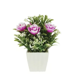 ΛΟΥΛΟΥΔΙ ΜΩΒ ΣΕ ΓΛΑΣΤΡΑΚΙ 8x21cm 1/120KIBΛΟΥΛΟΥΔΙ ΜΩΒ ΣΕ ΓΛΑΣΤΡΑΚΙ 8x21cm 1/120KIB