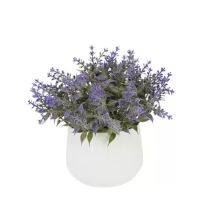 ΓΛΑΣΤΡΑΚΙ ΜΕ ΦΥΤΟ ΛΕΒΑNTΟΥΛΑ ΜΩΒ Φ10x15cm 1/48ΚΙΒΓΛΑΣΤΡΑΚΙ ΜΕ ΦΥΤΟ ΛΕΒΑNTΟΥΛΑ ΜΩΒ Φ10x15cm 1/48ΚΙΒ