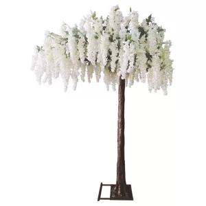 ΔΕΝΤΡΟ ΣΑΜΠΑΝΙ ΑΝΘΙΣΜΕΝΗ ΑΚΑΚΙΑ ΠΛΑΓΙΟ Υ260cm 1/ΚΙΒΔΕΝΤΡΟ ΣΑΜΠΑΝΙ ΑΝΘΙΣΜΕΝΗ ΑΚΑΚΙΑ ΠΛΑΓΙΟ Υ260cm 1/ΚΙΒ