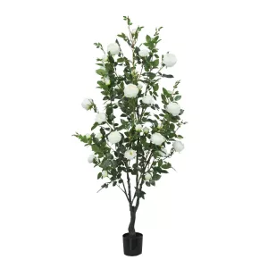 ΔΕΝΤΡΟ ΛΕΥΚΟ ΤΡΙΑΝΤΑΦΥΛΛΙΑ ΣΕ ΓΛΑΣΤΡΑ Υ175cm 2/ΚΙΒΔΕΝΤΡΟ ΛΕΥΚΟ ΤΡΙΑΝΤΑΦΥΛΛΙΑ ΣΕ ΓΛΑΣΤΡΑ Υ175cm 2/ΚΙΒ