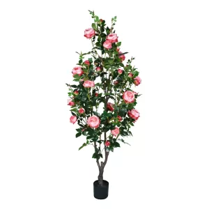 ΔΕΝΤΡΟ ΡΟΖ ΤΡΙΑΝΤΑΦΥΛΛΙΑ ΣΕ ΓΛΑΣΤΡΑ Υ175cm 2/ΚΙΒΔΕΝΤΡΟ ΡΟΖ ΤΡΙΑΝΤΑΦΥΛΛΙΑ ΣΕ ΓΛΑΣΤΡΑ Υ175cm 2/ΚΙΒ
